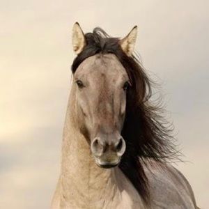 Meet your Posher, Ezra